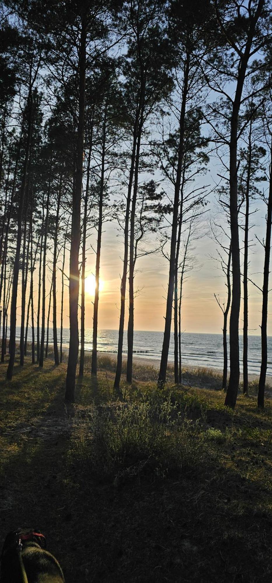 Luludomki Mielenko Exteriér fotografie